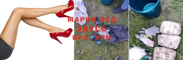 индика Гусиноозёрск