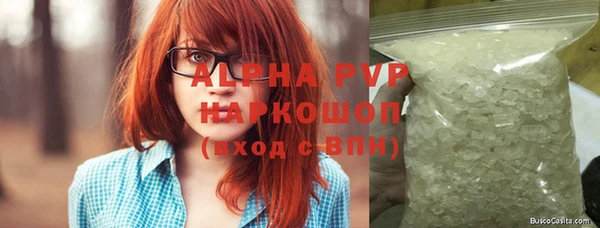 индика Гусиноозёрск