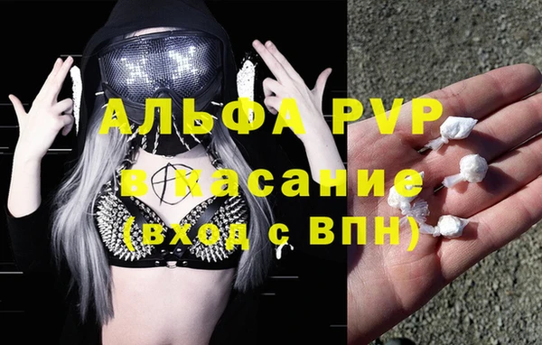 дживик Гусь-Хрустальный