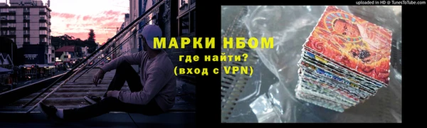 индика Гусиноозёрск