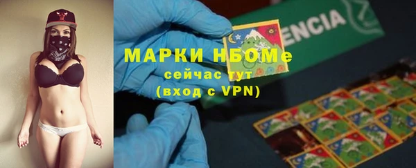 дживик Гусь-Хрустальный