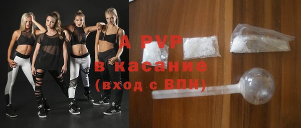 индика Гусиноозёрск