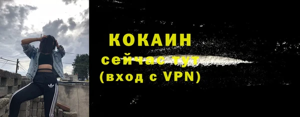 дживик Гусь-Хрустальный