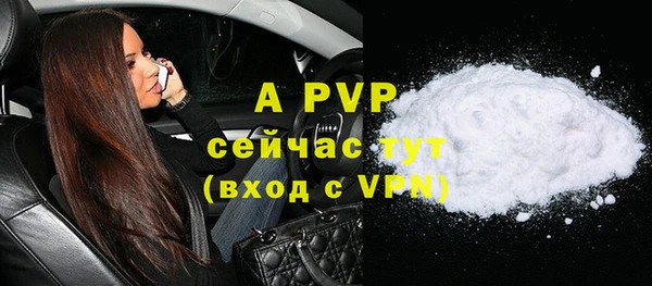 индика Гусиноозёрск
