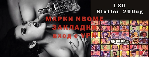 индика Гусиноозёрск