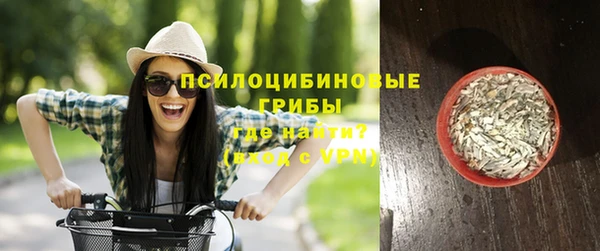 индика Гусиноозёрск