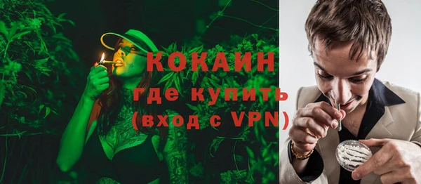 индика Гусиноозёрск