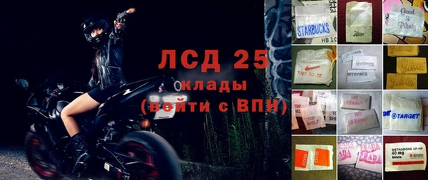 индика Гусиноозёрск