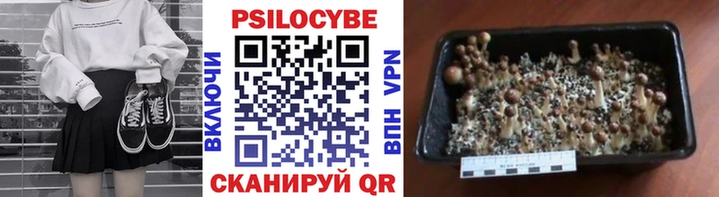 Галлюциногенные грибы Psilocybe  Казань 